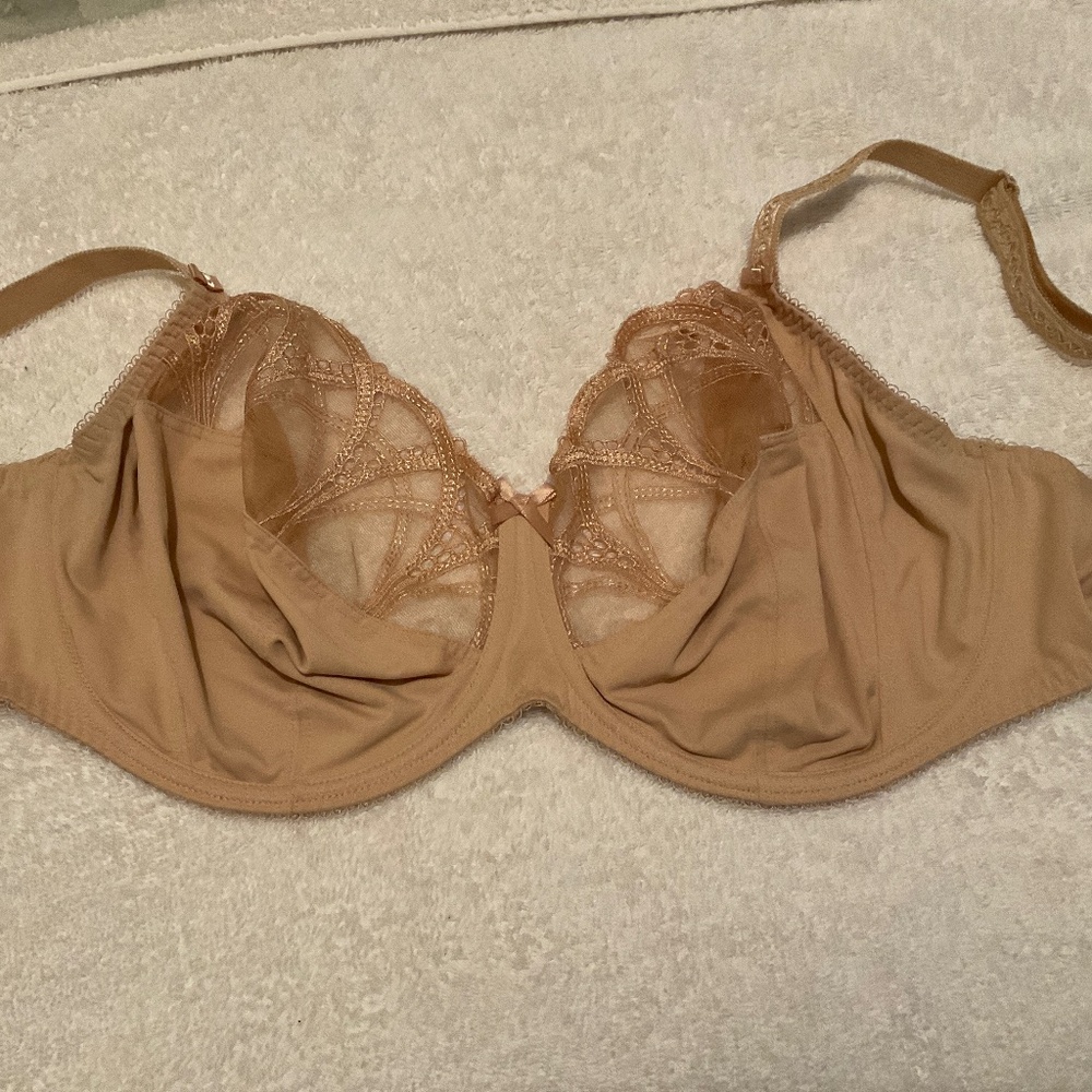 Fantasie Tan Lace Bra